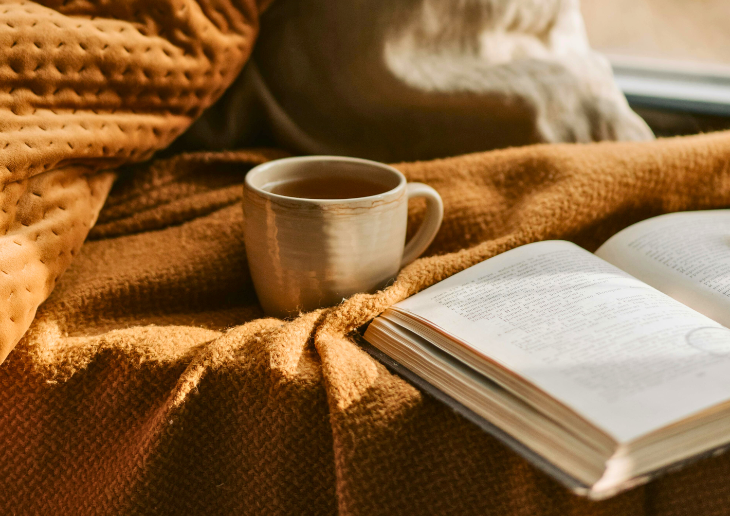 lecture cocooning automne thé livre