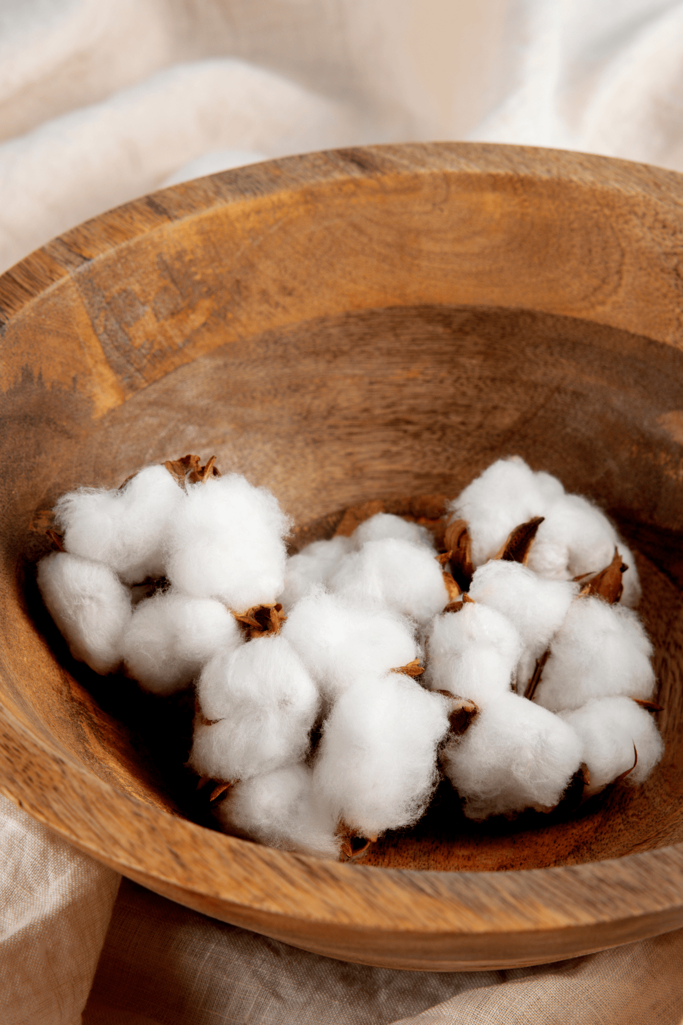 fleurs de coton naturelles blanches