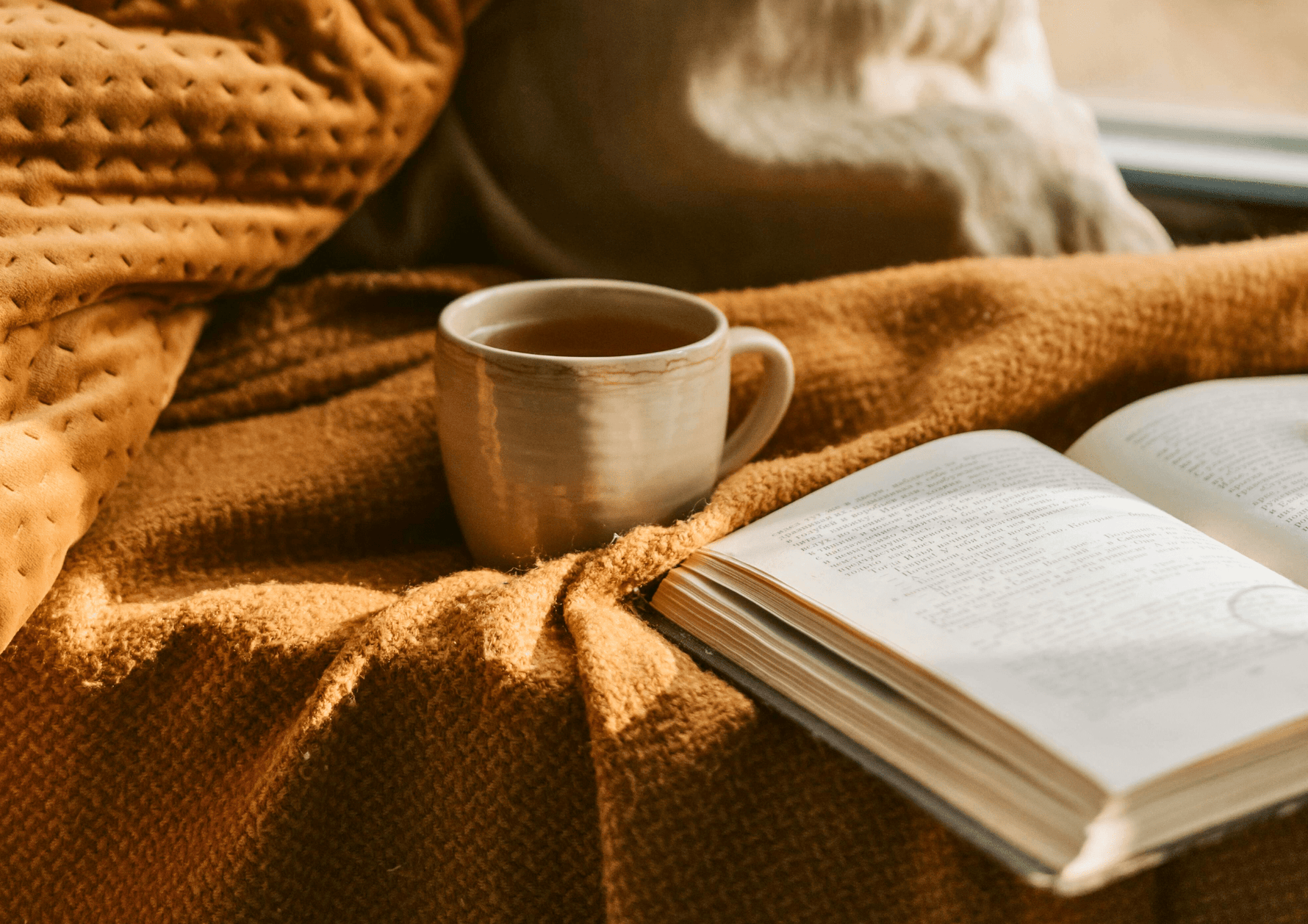 Créer un coin lecture cocooning pour l’automne avec nos accessoires Mazzanne - mazzanne